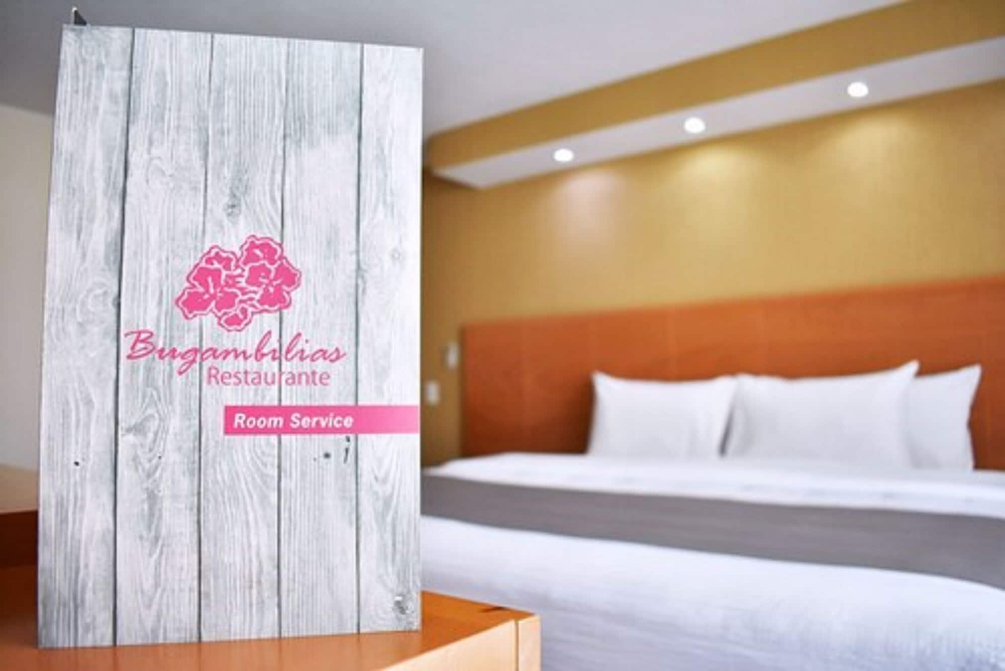 La Posada Hotel Y Suites San Luis Potosi Bagian luar foto