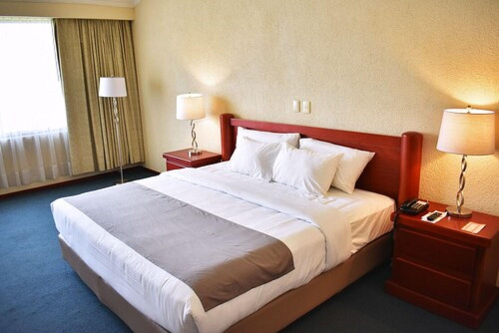 La Posada Hotel Y Suites San Luis Potosi Bagian luar foto
