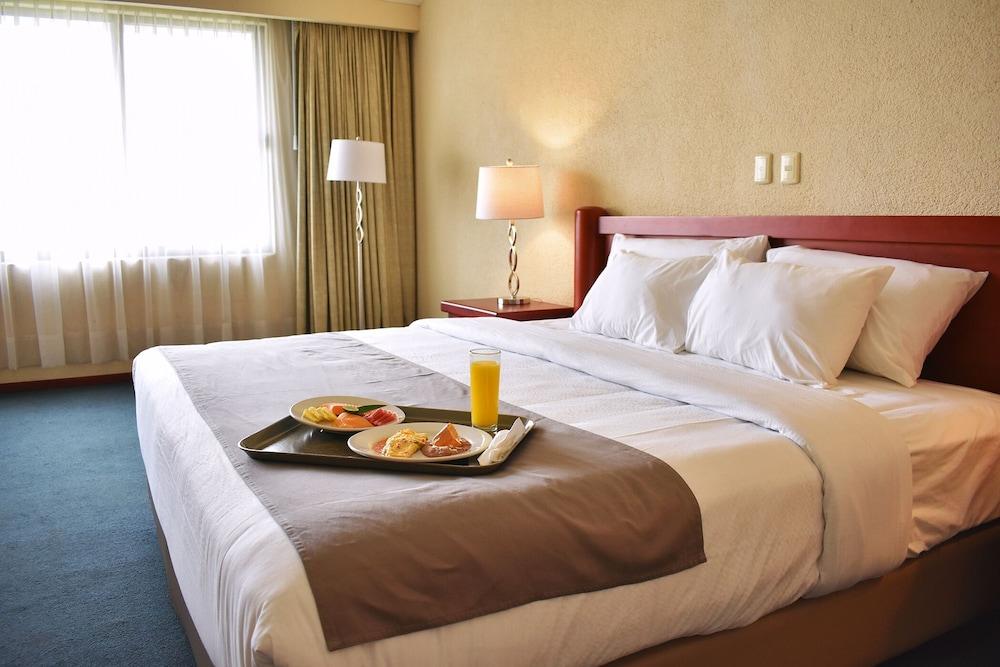 La Posada Hotel Y Suites San Luis Potosi Bagian luar foto